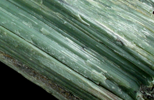 Antigorite from Penn-MD Quarry, near Peach Bottom, Fulton Township, Lancaster County, Pennsylvania