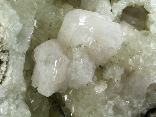 Apophyllite on Datolite from Millington Quarry, Bernards Township, Somerset County, New Jersey