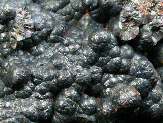 Goethite from Little Mountain (Devil's Workshop) Mine, 5.6 km north of Bessemer City, Gaston County, North Carolina