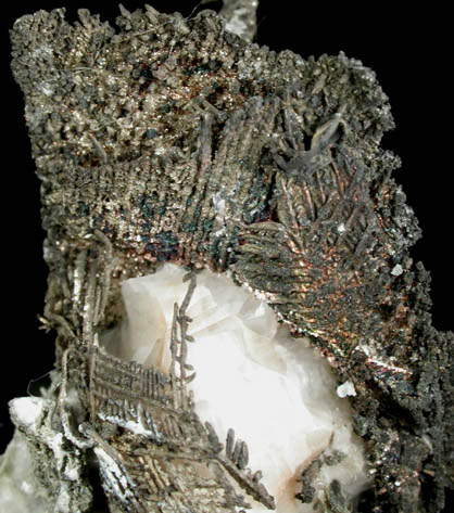 Silver from Andres del Rio District, Batopilas, Chihuahua, Mexico