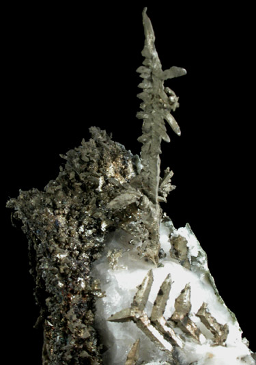 Silver from Andres del Rio District, Batopilas, Chihuahua, Mexico