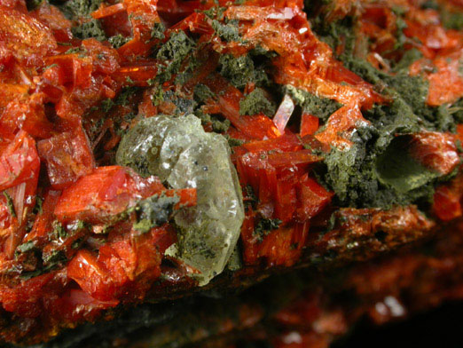 Crocoite with Pyromorphite and Cerussite from Berezovsk Gold Mine (Berezovskii), Sverdlovsk Oblast', Middle Ural Mountains, Russia (Type Locality for Crocoite)