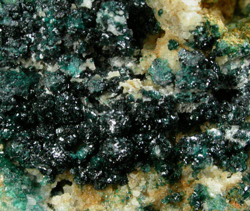 Herbertsmithite from Sierra Gorda District, Tocopilla Province, Antofagasta Region,, Chile