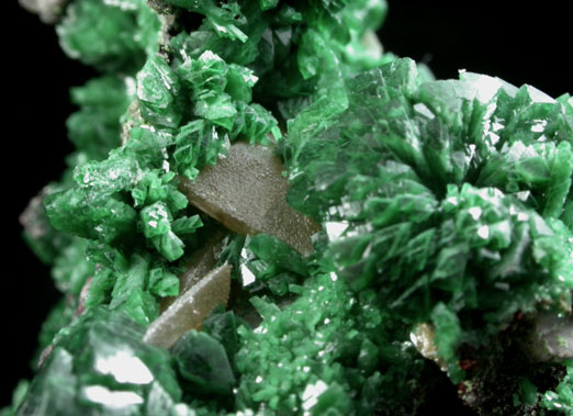 Adamite var. Cuproadamite from Tsumeb Mine, Otavi-Bergland District, Oshikoto, Namibia