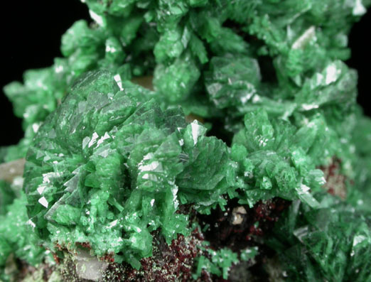 Adamite var. Cuproadamite from Tsumeb Mine, Otavi-Bergland District, Oshikoto, Namibia