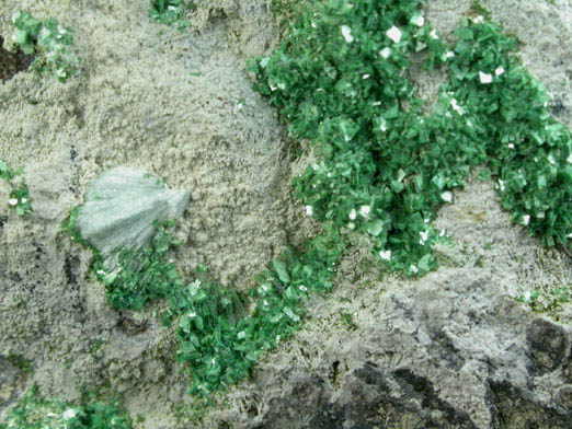 Sincosite with Minyulite from Ross Hannibal Mine, Lawrence County, South Dakota