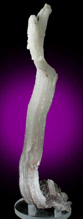 Gypsum var. Selenite from Cave of Swords, Gibraltar Mine, Naica District, Chihuahua, Mexico