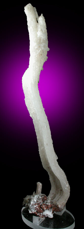 Gypsum var. Selenite from Cave of Swords, Gibraltar Mine, Naica District, Chihuahua, Mexico