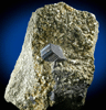 Bournonite on Pyrite from Mina Machacamarca, Viboras Section, near Colavi, Potosi, Bolivia