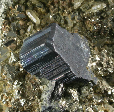 Bournonite on Pyrite from Mina Machacamarca, Viboras Section, near Colavi, Potosi, Bolivia