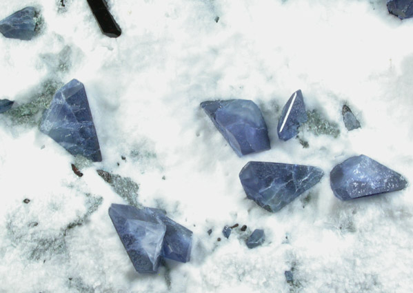 Benitoite and Natrolite in Natrolite from Benitoite Gem Mine, San Benito County, California (Type Locality for Benitoite)