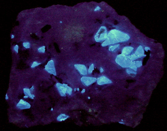 Benitoite and Natrolite in Natrolite from Benitoite Gem Mine, San Benito County, California (Type Locality for Benitoite)