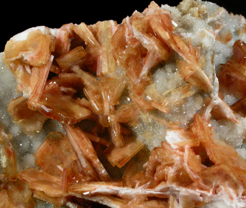 Barite on Quartz from Naica District, Saucillo, Chihuahua, Mexico