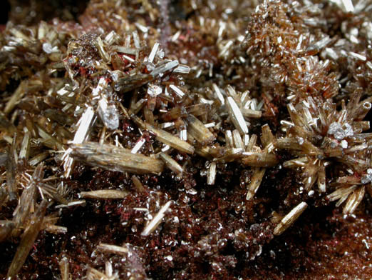 Vanadinite var. Endlichite from Ahumada Mine, Sierra de Los Lamentos, Chihuahua, Mexico