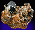 Cassiterite and Muscovite from Linopolis, Divino das Laranjeiras, Minas Gerais, Brazil