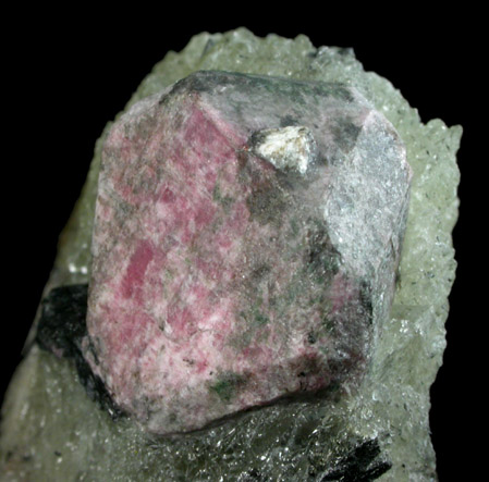 Eudialyte and Aegirine in Albite from Khibiny Massif, Kola Peninsula, Murmanskaja Oblast', Northern Region, Russia