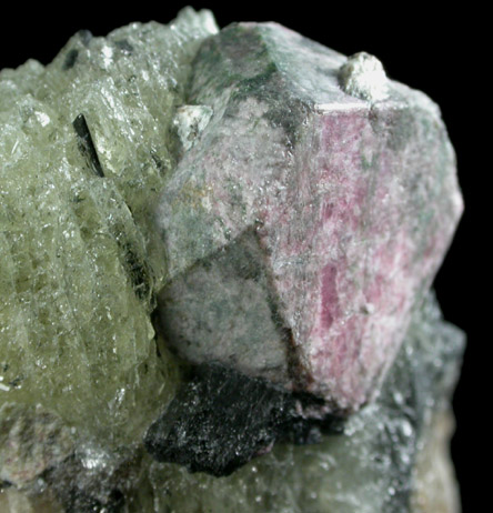 Eudialyte and Aegirine in Albite from Khibiny Massif, Kola Peninsula, Murmanskaja Oblast', Northern Region, Russia