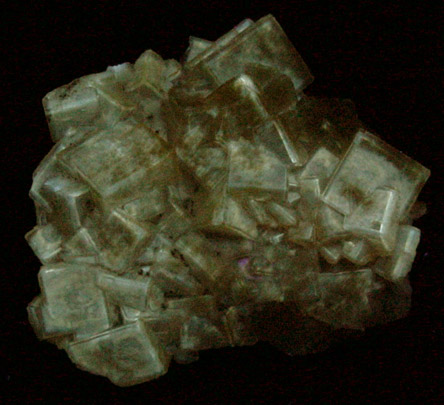 Fluorite from (Lozre), (Languedoc-Roussillon), France