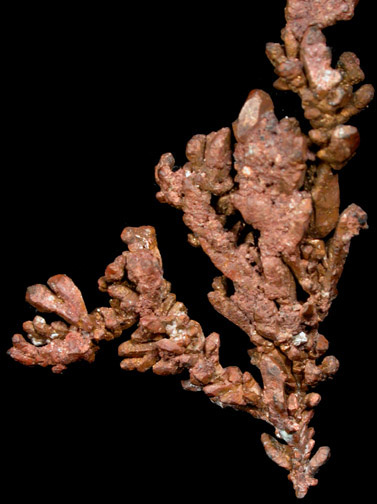 Copper from New Cornelia Mine, Ajo, Pima County, Arizona