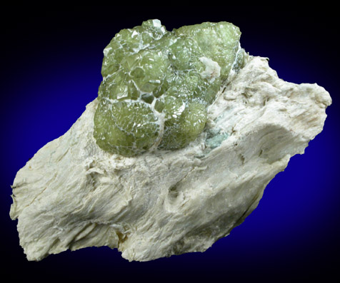 Andradite var. Demantoid Garnet in Serpentine from Val Malenco, Sondrio Province, Lombardy, Italy