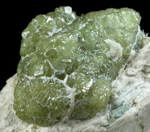 Andradite var. Demantoid Garnet in Serpentine from Val Malenco, Sondrio Province, Lombardy, Italy