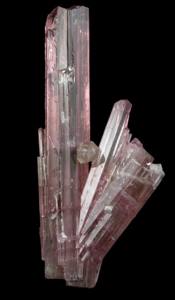 Elbaite var. Rubellite Tourmaline from Himalaya Mine, Mesa Grande District, San Diego County, California