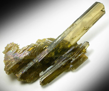 Epidote from Tormiq area, northwest of Skardu, Haramosh Mountains, Baltistan, Gilgit-Baltistan, Pakistan