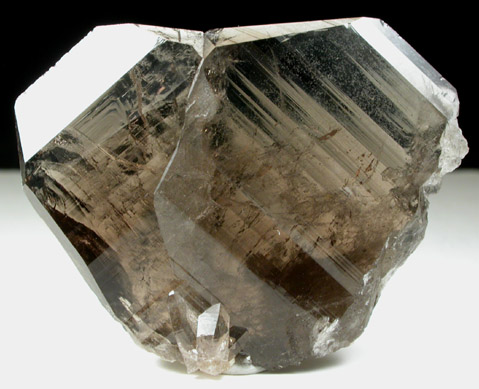 Quartz var. Smoky Japan Law-twinned from El Capitan Mountains, Lincoln County, New Mexico