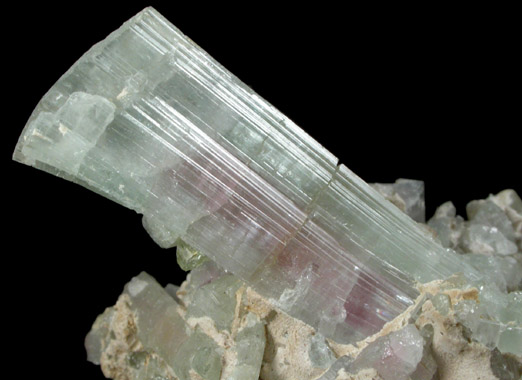 Elbaite Tourmaline from Cryo-Genie Mine, Warner Springs District, San Diego County, California
