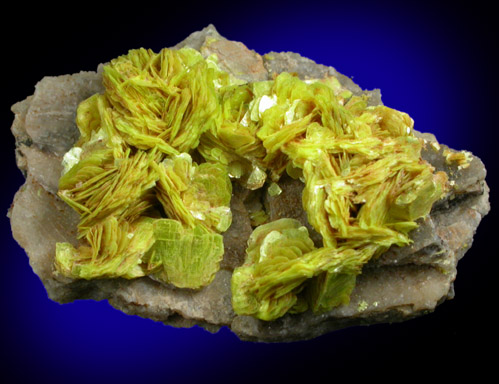 Uranocircite from Bergen, Zobes-Bergen District, Vogtland, Saxony, Germany (Type Locality for Uranocircite)