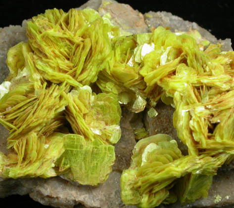 Uranocircite from Bergen, Zobes-Bergen District, Vogtland, Saxony, Germany (Type Locality for Uranocircite)