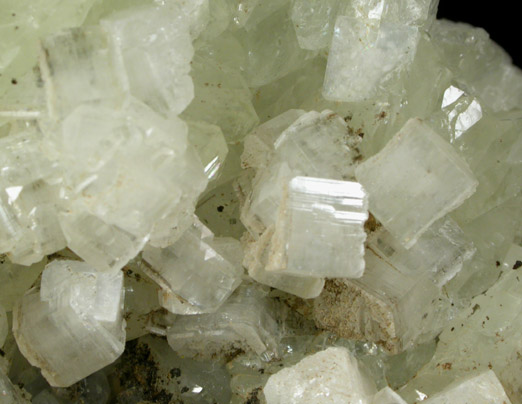 Apophyllite on Datolite from Millington Quarry, Bernards Township, Somerset County, New Jersey