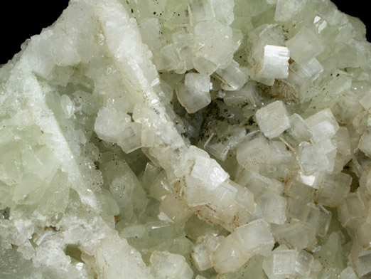 Apophyllite on Datolite from Millington Quarry, Bernards Township, Somerset County, New Jersey