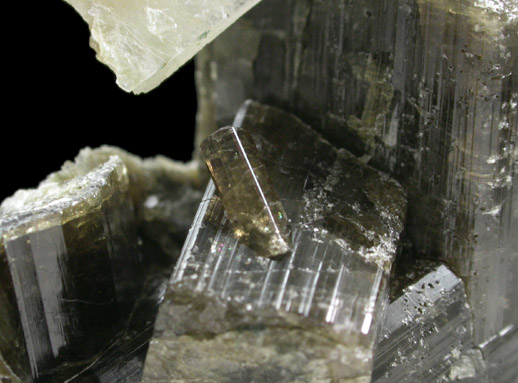Vesuvianite with Meionite from Goodall Farm Quarry, 600 meter Prospect, Sanford, York County, Maine