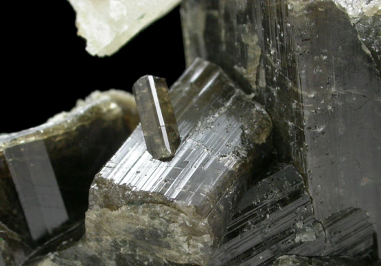 Vesuvianite with Meionite from Goodall Farm Quarry, 600 meter Prospect, Sanford, York County, Maine