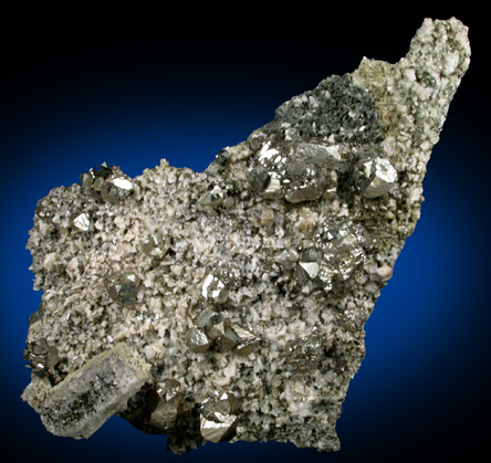 Pyrite, Albite, Quartz, Actinolite from Bull's Ferry Road condominium construction site, North Bergen, Hudson County, New Jersey