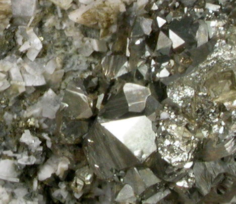 Pyrite, Albite, Quartz, Actinolite from Bull's Ferry Road condominium construction site, North Bergen, Hudson County, New Jersey