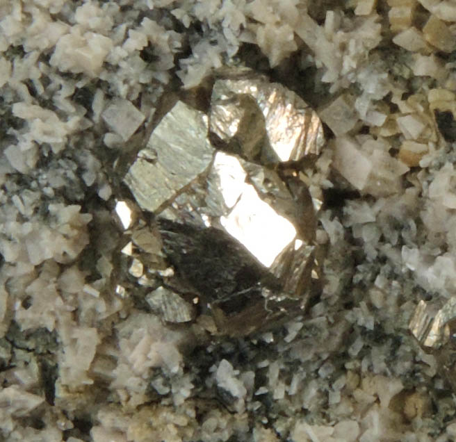 Pyrite, Albite, Quartz, Actinolite from Bull's Ferry Road condominium construction site, North Bergen, Hudson County, New Jersey