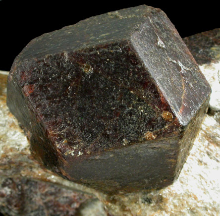 Almandine Garnet from Green's Farm, 750 m. ESE of Roxbury Falls, Roxbury, New Haven County, Connecticut