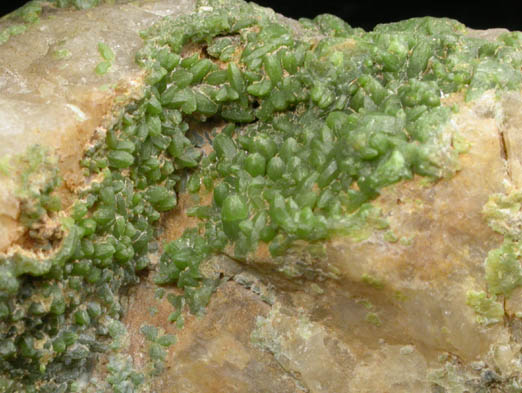 Pyromorphite on Quartz from Wheatley Mine, Phoenixville, Chester County, Pennsylvania