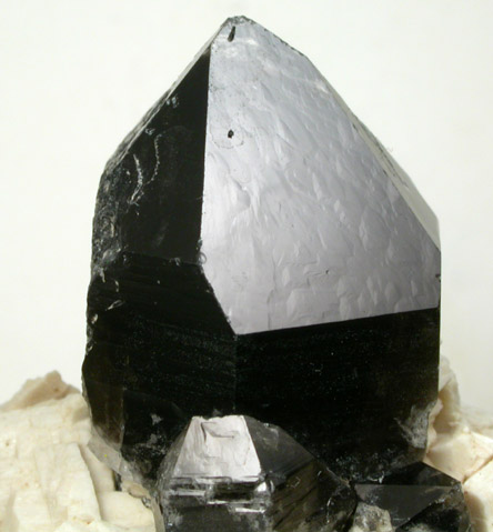 Quartz var. Smoky with Albite from Granite Ridge, Lolo Pass, Mineral County, Montana