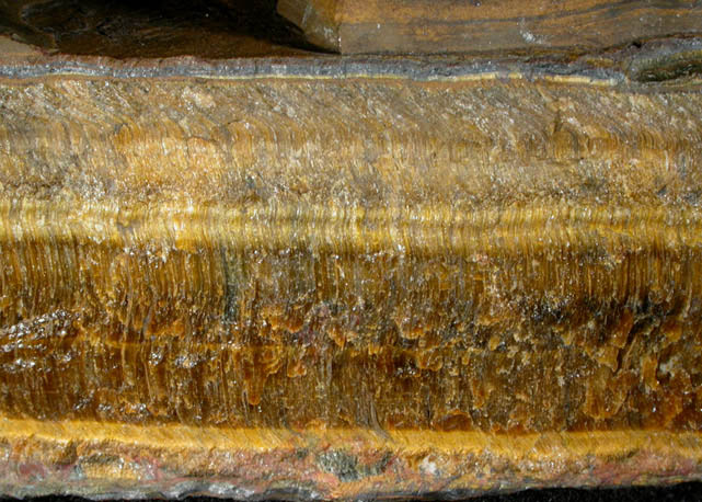 Quartz pseudomorphous after Crocidolite-Riebeckite (Tiger-Eye) from headwaters of the Orange River, Northern Cape Province, South Africa