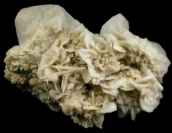 Gypsum from Chihuahua, Mexico