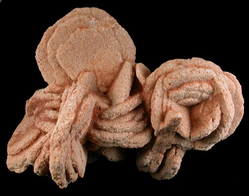 Barite var. Desert Rose from Garber Sandstone Formation, near Norman, Cleveland County, Oklahoma