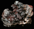 Goethite and Manganite pseudomorphs after Calcite from Black Rock, Hants County, Nova Scotia, Canada