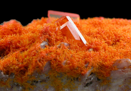 Mimetite with Wulfenite from Rowley Mine, 20 km northwest of Theba, Painted Rock Mountains, Maricopa County, Arizona