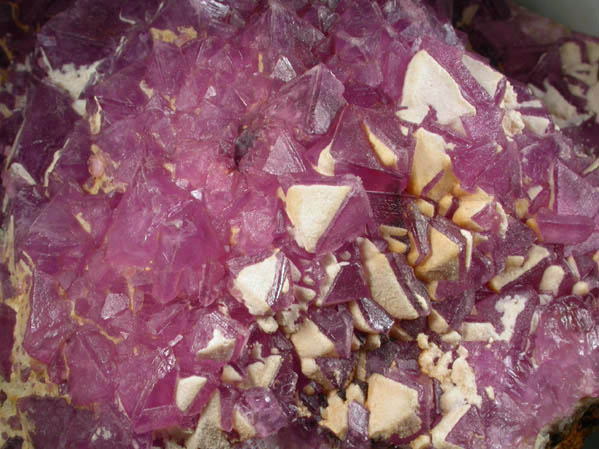 Fluorite on Quartz from Mina Navidad, 19 km northwest of Abasolo, Durango, Mexico