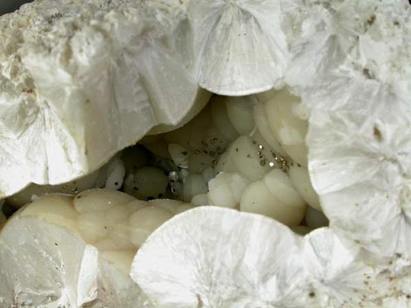 Pectolite with Pyrite from Millington Quarry, Bernards Township, Somerset County, New Jersey