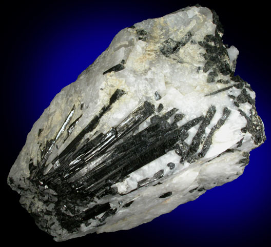 Schorl Tourmaline in Quartz from Belchertown, Hampshire County, Massachusetts