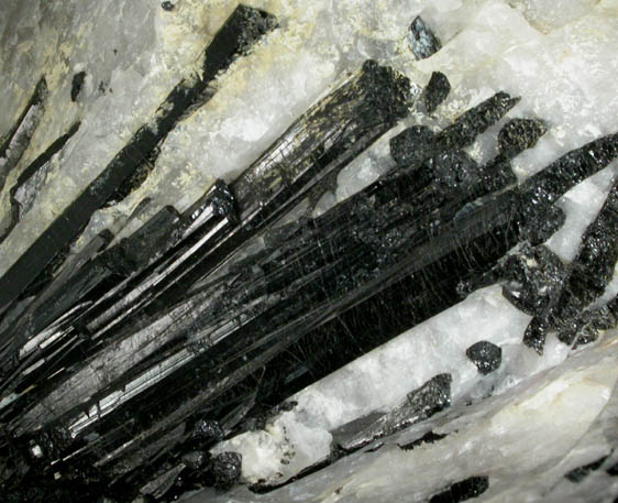 Schorl Tourmaline in Quartz from Belchertown, Hampshire County, Massachusetts